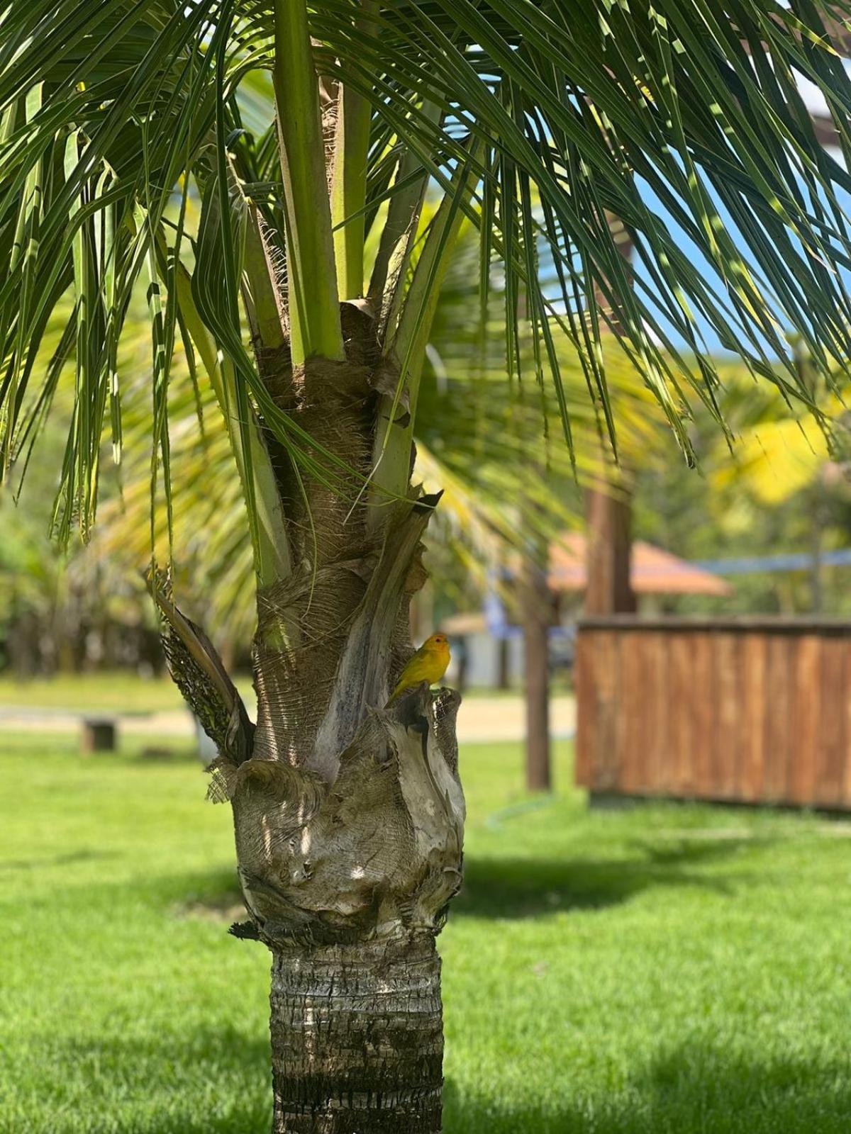Paraiso Capitolio "A Pousada Da Dona Perpetua" Exteriör bild